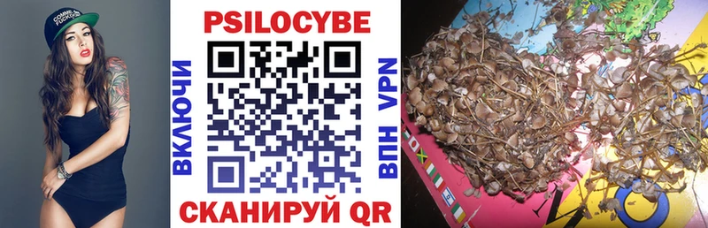 Псилоцибиновые грибы Psilocybe  Шелехов 