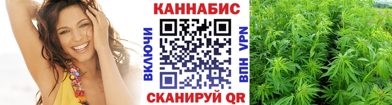 Конопля Bruce Banner  Шелехов 